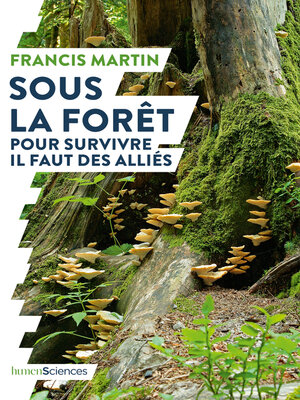 cover image of Sous la forêt